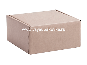 Бурый короб тип Д № 2 "СТАНДАРТ" 220x165x100. Артикул: 03-13-05